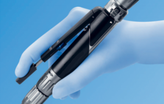 Captura-de-Pantalla-2021-08-13-a-las-9.44.30-a.-m.-pbk5uohnrm52u771k7p8dabz40mdiagwcwjrv6kdk0